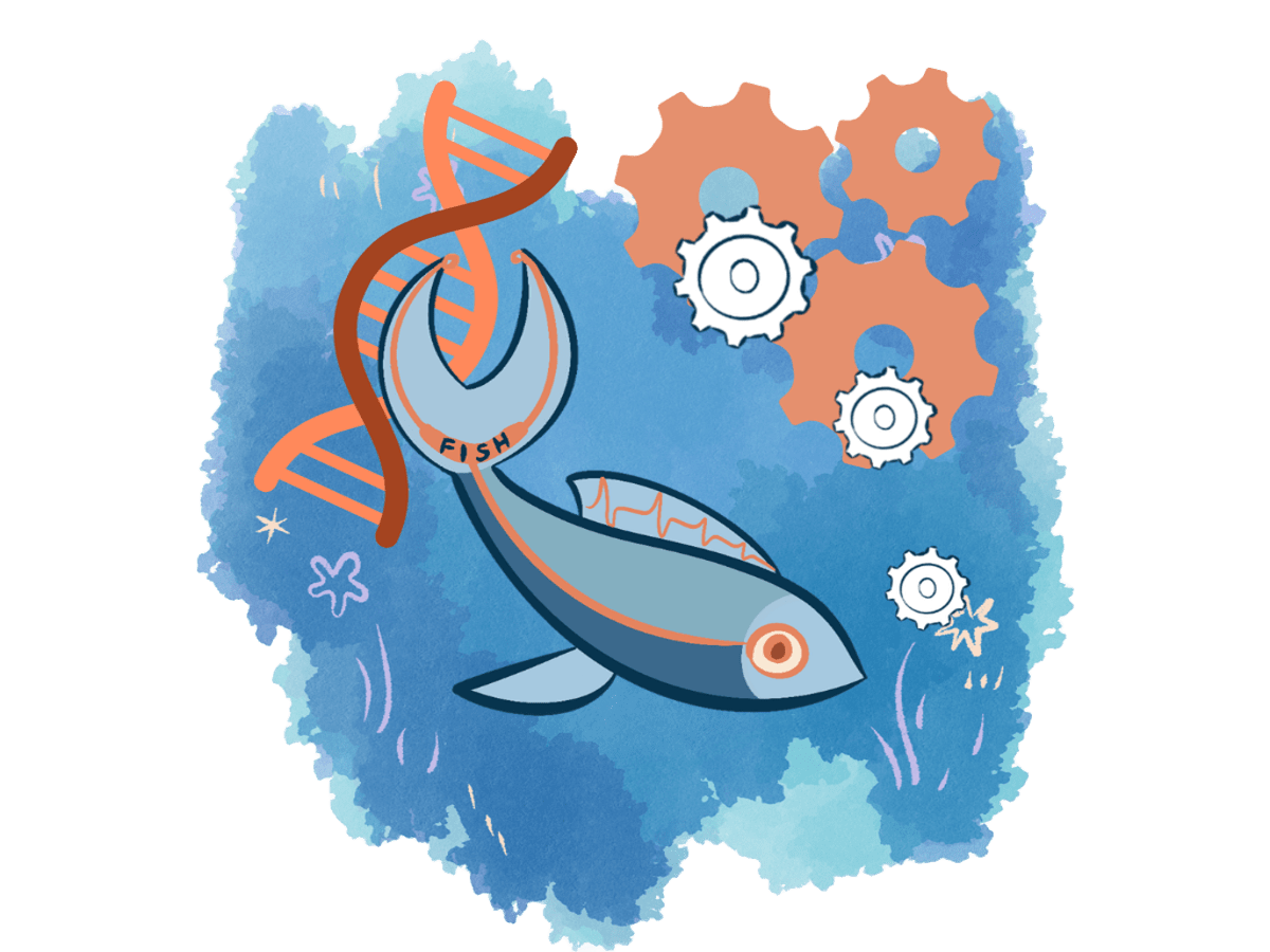 Illustrated FISH hero graphic